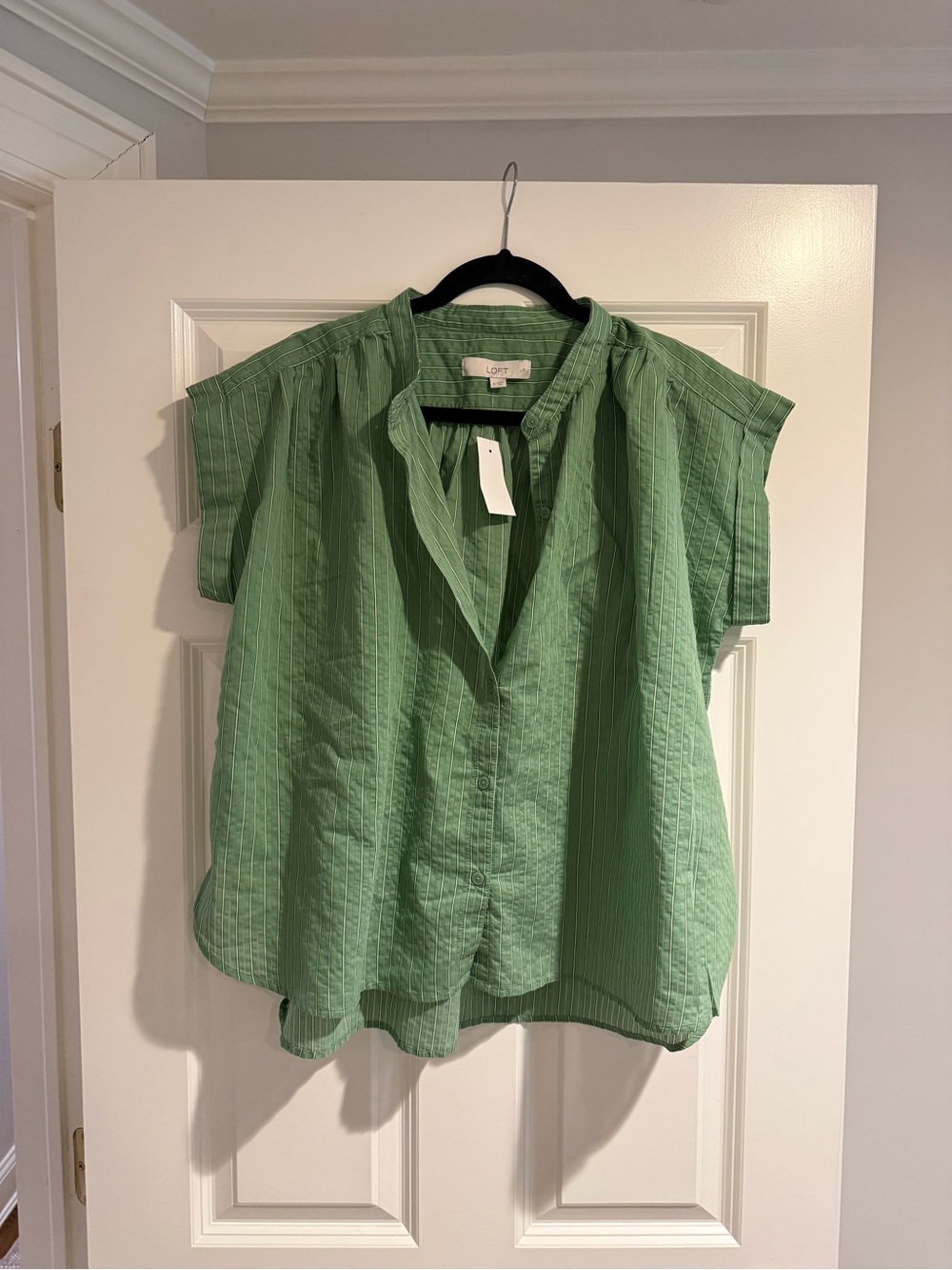 NWT Loft Striped Green Dolman Shirt